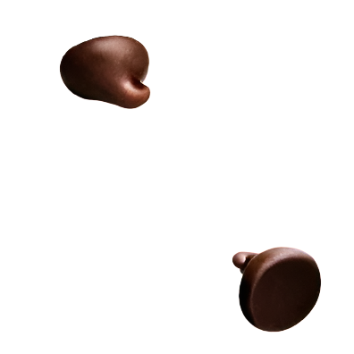 choco chip photo