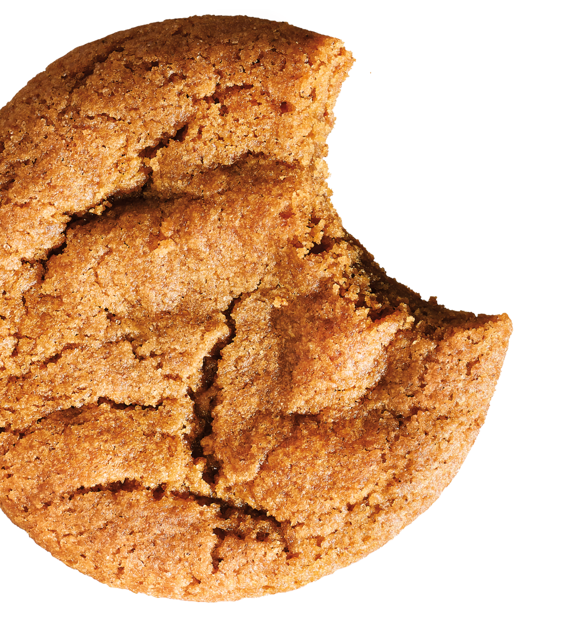 half bitten chocochip photo