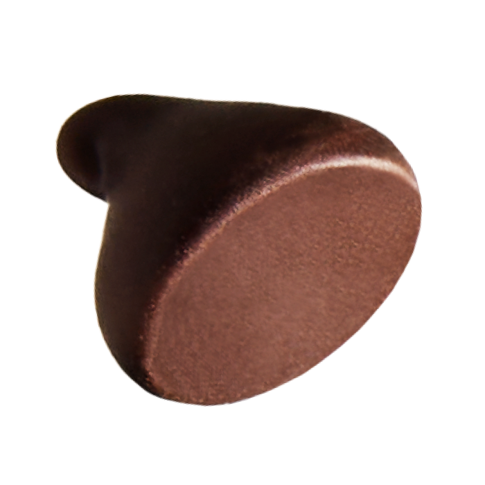 chocochip photo